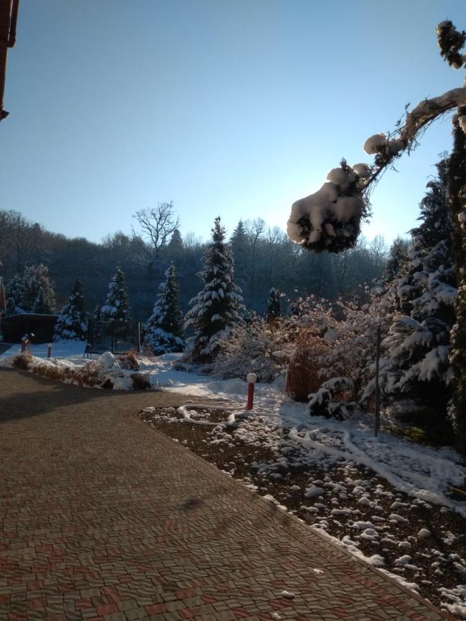 Вілла Едельвейс Morshyn Exterior foto